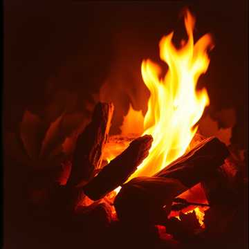 The First Feast of Thanks